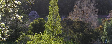 Golden Valley Tree Park - Tourism Canberra 3