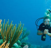 Coastal Water Dive - Tourism Canberra