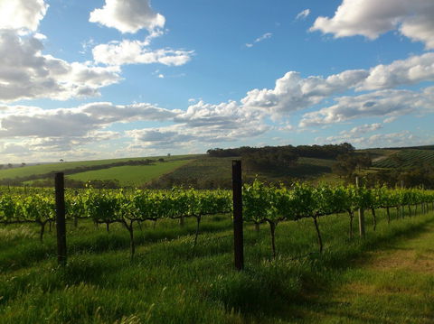Plantagenet Wines - Tourism Canberra 1