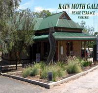 Rain Moth Gallery - Tourism Canberra