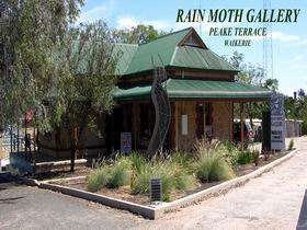 Rain Moth Gallery - Tourism Canberra 0