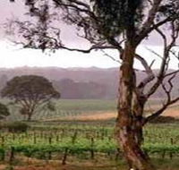 Yangarra Estate Vineyard - Tourism Canberra