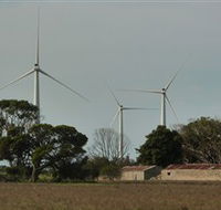 Wattle Point Wind Farm - Tourism Canberra