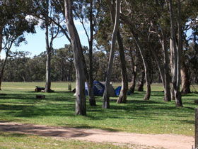 Black Cockatoo Bush Camp - Tourism Canberra 0