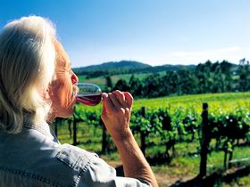 Ashton Hills Vineyard - Tourism Canberra 0