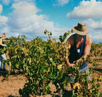 Torbreck Vintners - Tourism Canberra
