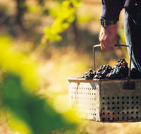 Burge Family Winemakers - Tourism Canberra