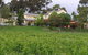 Horndale Distillery And Wine Cellars - thumb 0