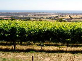  Tourism Canberra