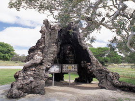 Springton SA Tourism Canberra