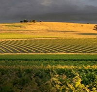 Kellermeister Wines - Tourism Canberra