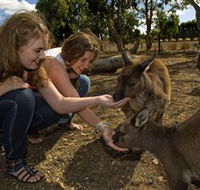Kangaroo Island Wildlife Park - Tourism Canberra