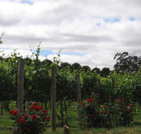Manyara Vineyard - Tourism Canberra