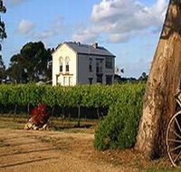 Highbank Vineyards - Tourism Canberra