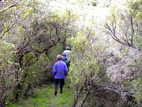 Jack And Hilda McArthur Walk - Tourism Canberra 0