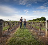 Coonawarra Wineries Walking Trail - Tourism Canberra