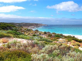 Marion Bay SA Tourism Canberra