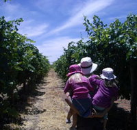 McLaren Vale Orchards - Tourism Canberra