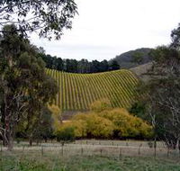 Mt Bera Vineyards - Tourism Canberra