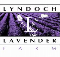 Lyndoch Lavender Farm and Cafe - Tourism Canberra