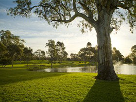 Serafino Wines - Tourism Canberra 0