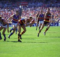 AAMI Stadium Tours - Tourism Canberra