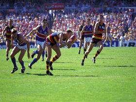 AAMI Stadium Tours - Tourism Canberra 0