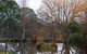 Gemtree Wetlands Ecotrail - thumb 0