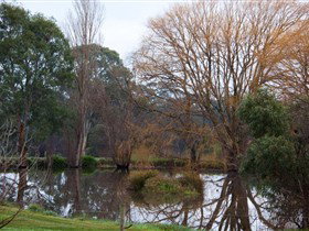 Gemtree Wetlands Ecotrail - Tourism Canberra 0