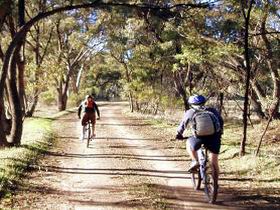 Bike About Mountain Bike Tours And Hire - Tourism Canberra 0