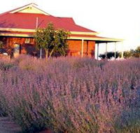 Bella Lavender Estate - Tourism Canberra