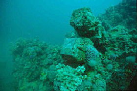 Adelaide's Underwater Heritage Trail - Tourism Canberra 0
