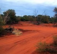 Tallaringa Conservation Park - Tourism Canberra