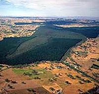 Mount Crawford Forest Reserve - Tourism Canberra