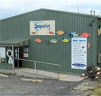 Stanley Seaquarium - Tourism Canberra