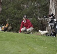 Tasmania Golf Club - The - Tourism Canberra