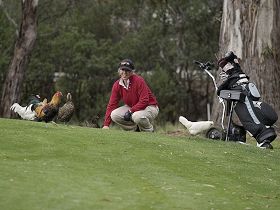Tasmania Golf Club - The - Tourism Canberra 0