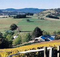 Freycinet Vineyards Pty Ltd - Tourism Canberra