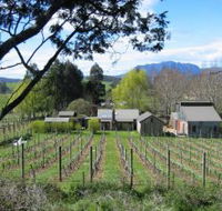 Wilmot Hills Vineyard - Tourism Canberra