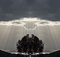 aart. Gallery of Fine Art - Tourism Canberra