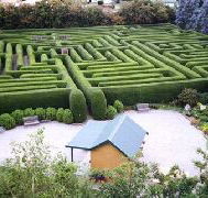 Westbury Maze and Tea Room - Tourism Canberra
