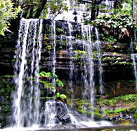 Mt Field National Park - Tourism Canberra
