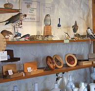 Touchwood Craft Gallery Gifts and Cafe - Tourism Canberra
