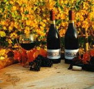 Craigow Vineyard - Tourism Canberra