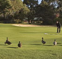 Royal Hobart Golf Club - Tourism Canberra
