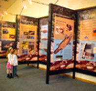 Platypus Experience - Tourism Canberra