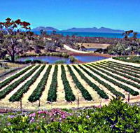 Kate's Berry Farm - Tourism Canberra