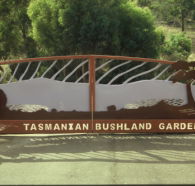 Tasmanian Bushland Garden - Tourism Canberra