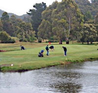Penguin Golf Course - Tourism Canberra