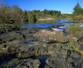 Pine Island To Point Hut Reserve - Tourism Canberra 0